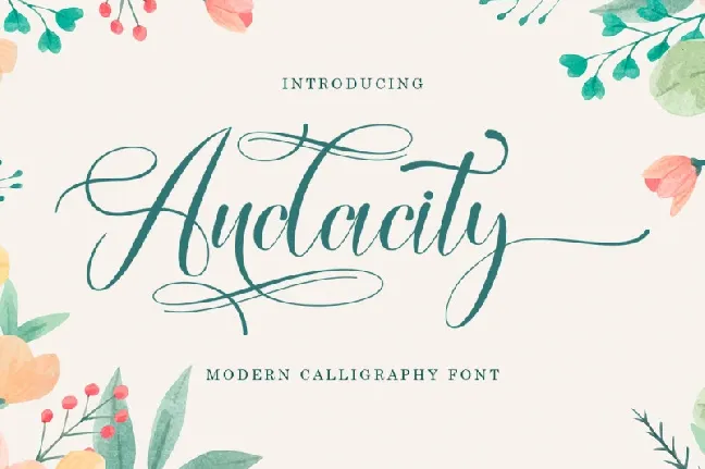 Audacity font