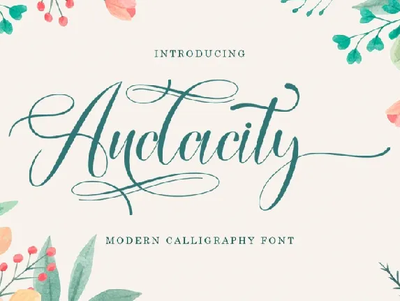 Audacity font