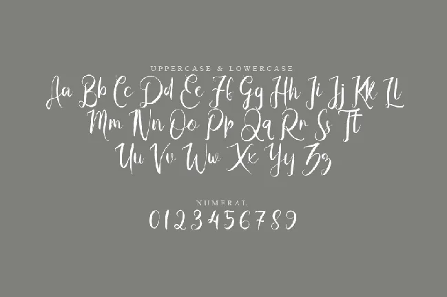 Whywar font