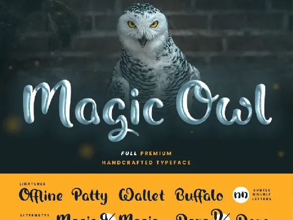 Magic Owl Script font