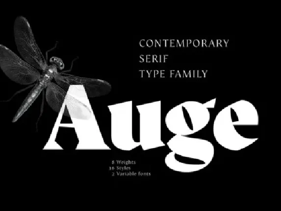 Auge Family font