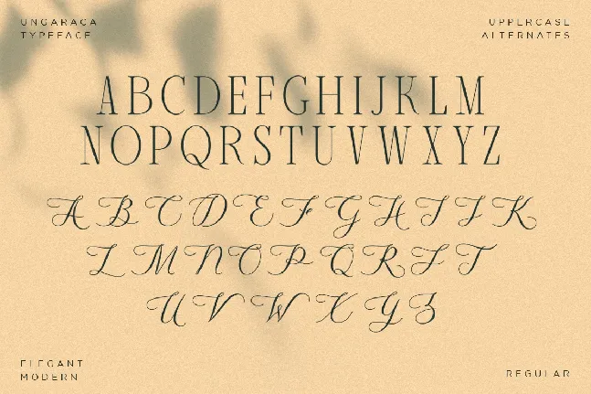 Ungaraca font