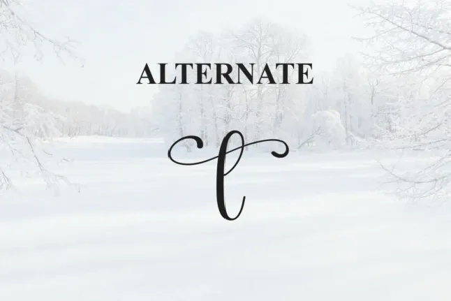 Winterday Script font