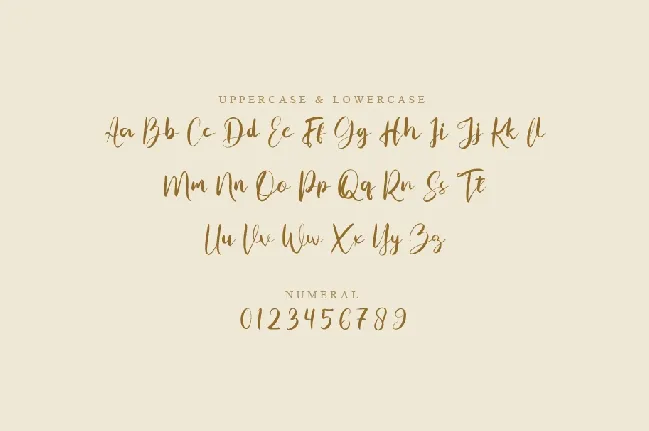 Riofam font