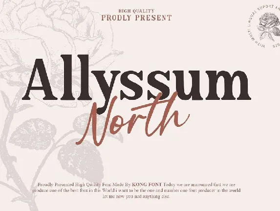 Allyssum North Duo font