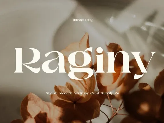 Raginy Serif font