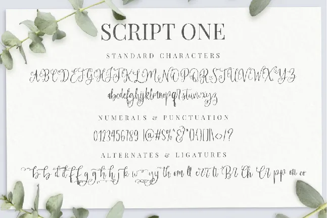 Felichiya Collection font