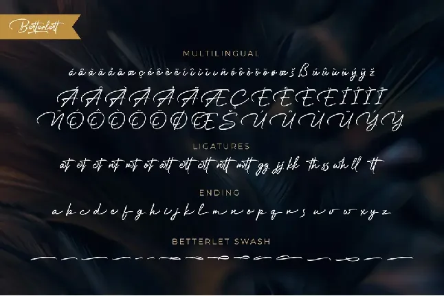 Betterlett font