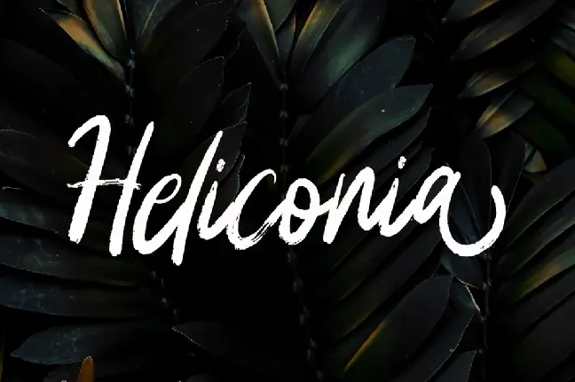 Heliconia font