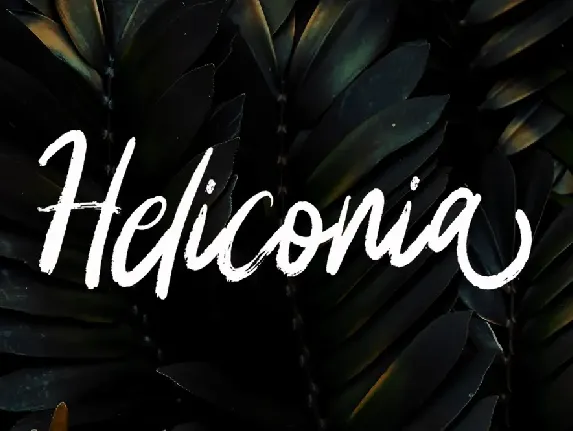 Heliconia font