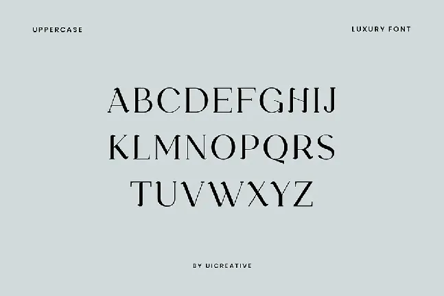 Kinematical font