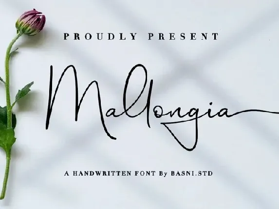 Mallongia font