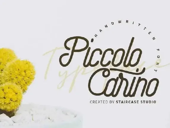 Piccolo Carino Script font