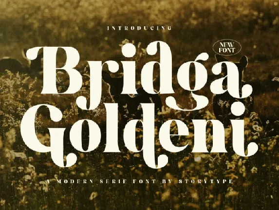 Bridga Goldeni font