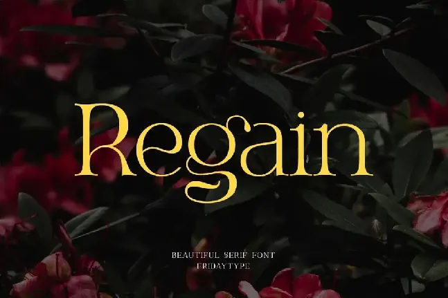 Regain font