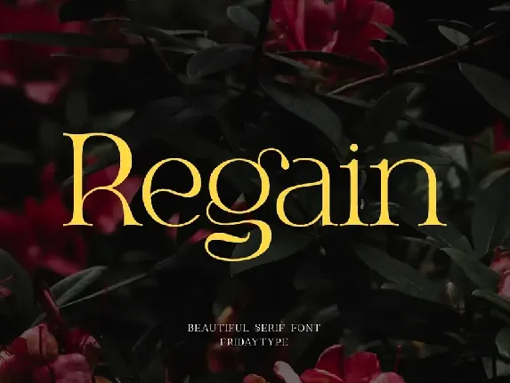 Regain font