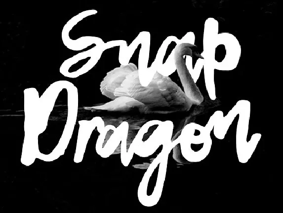 Snap Dragon Script Free font