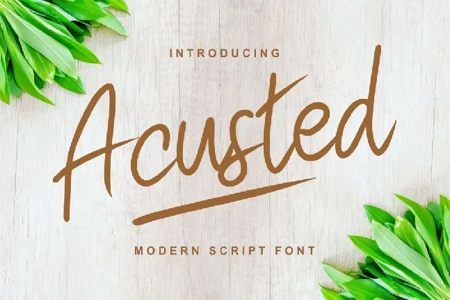 Acusted font