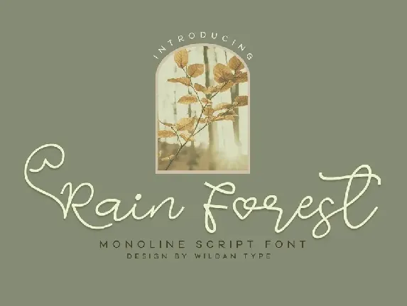 Rain Forest font