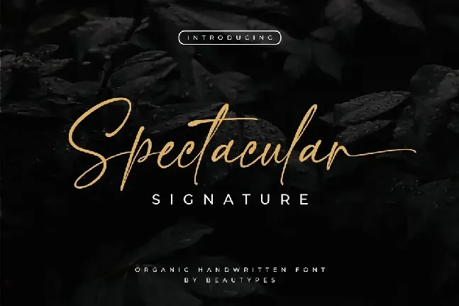 Spectacular font