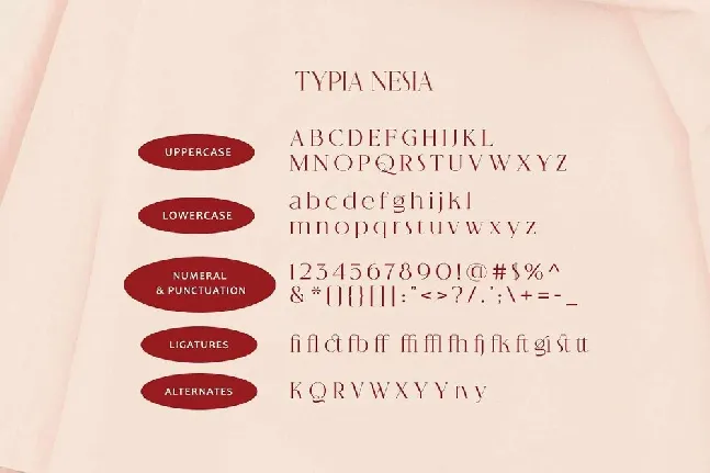 Quinstory font