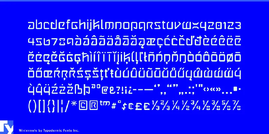 Wintermute font