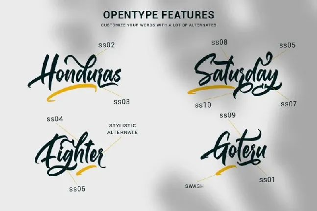 Gallardo Script font