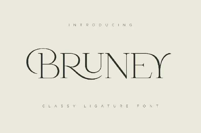 Bruney font