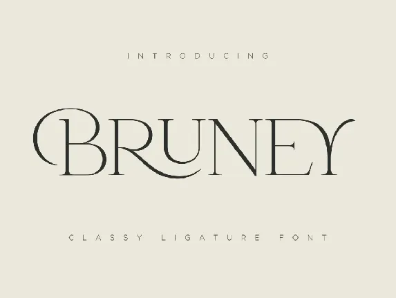 Bruney font