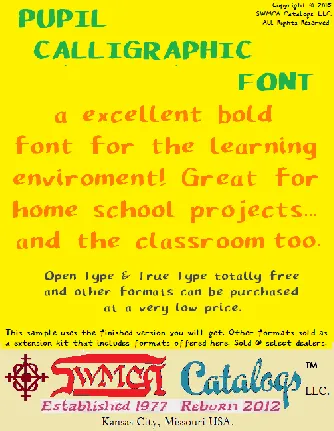 Pupil Caligraphic font