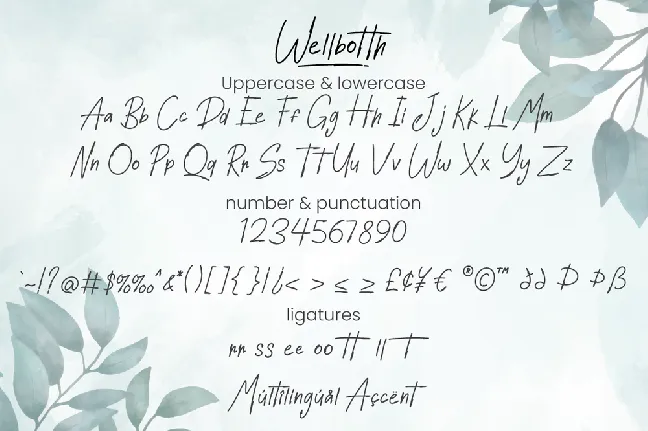 Wellbotth - Personal Use font