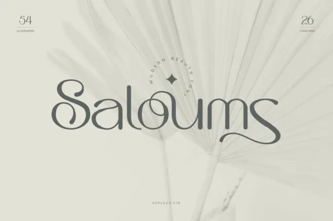 Saloums font