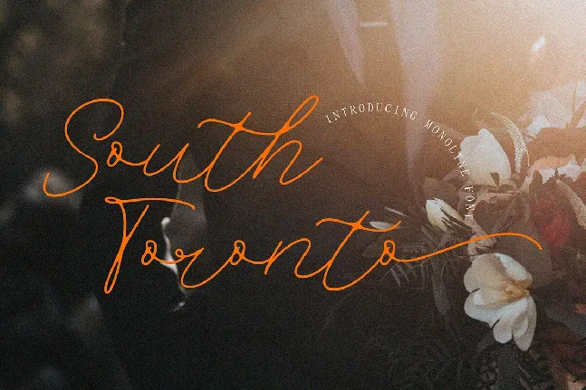 South Toronto font