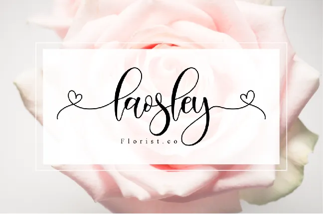 Haisley font