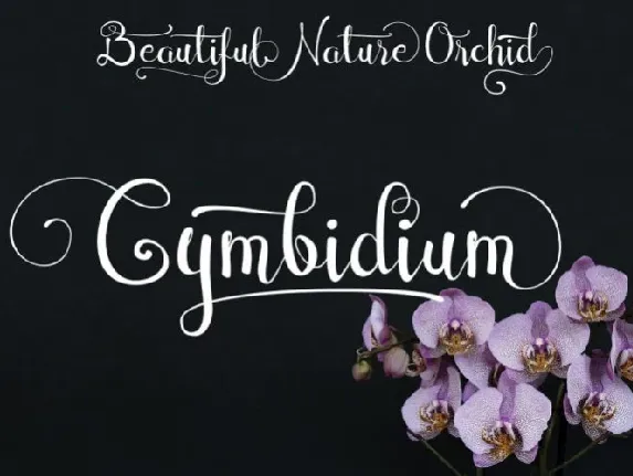 Cymbidium Calligraphy font