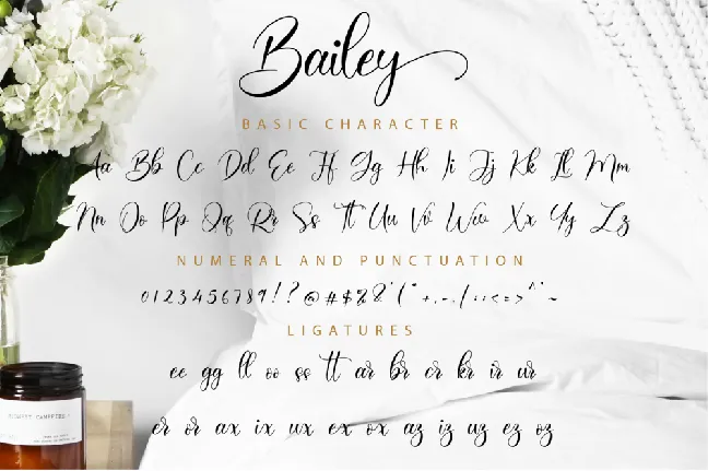 Bailey font