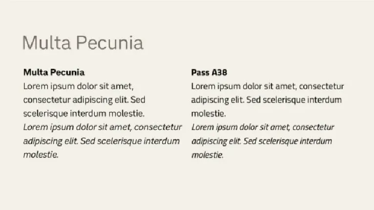 Multa Pecunia Family font