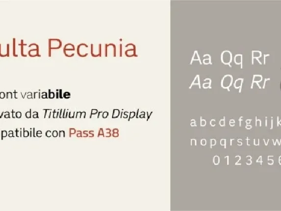 Multa Pecunia Family font