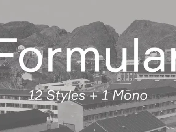 Formular Family font