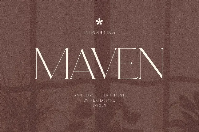 Maven font