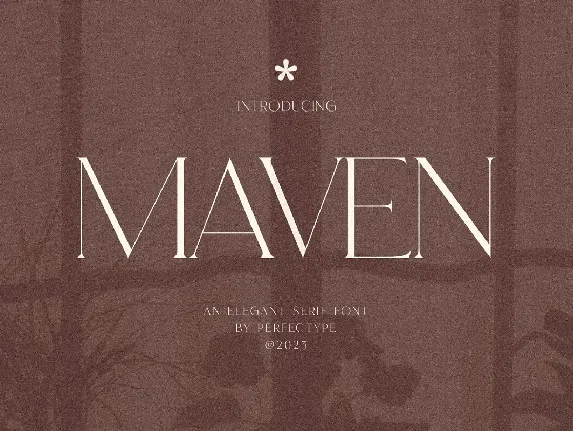 Maven font