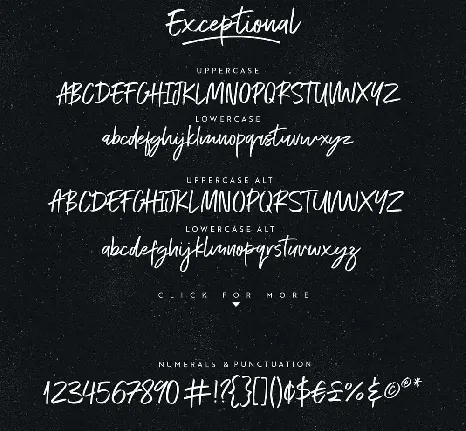 Exceptional font