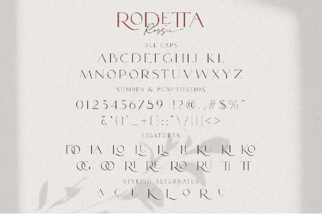 Rodetta font