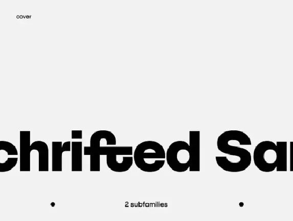 SFT Schrifted Sans Family font