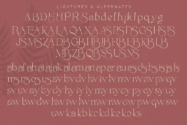 Envegas font