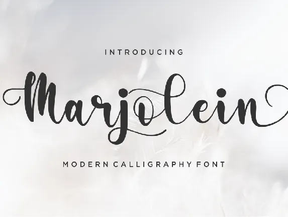 Marjolein font