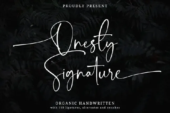 Onesty Calligraphy font