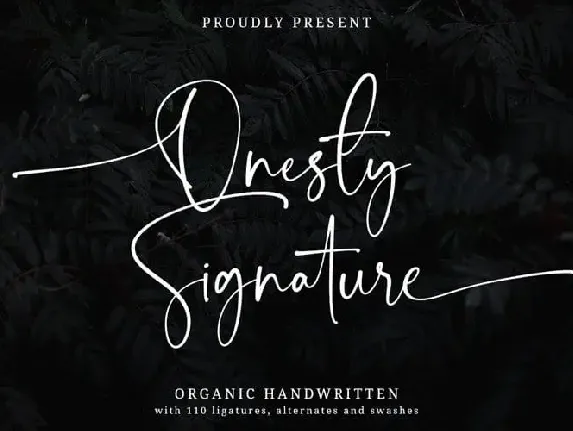 Onesty Calligraphy font