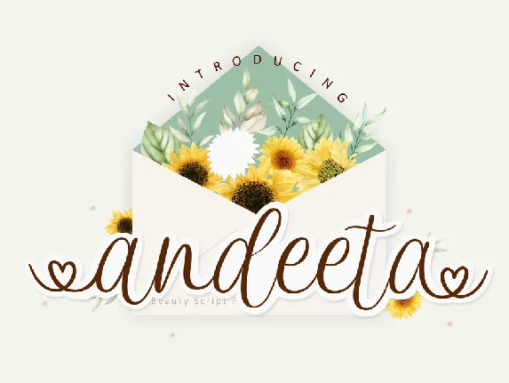 Andeeta font