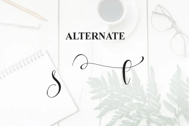 Goodnotes Script font